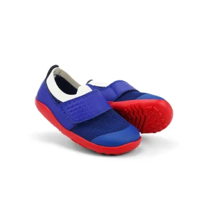 DIMENSION III BLUEBERRY & WHITE IW